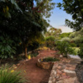 8 Rosser Street, COTTESLOE, WA 6011 AUS