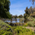 269 Nicholson Road, SHENTON PARK, WA 6008 AUS